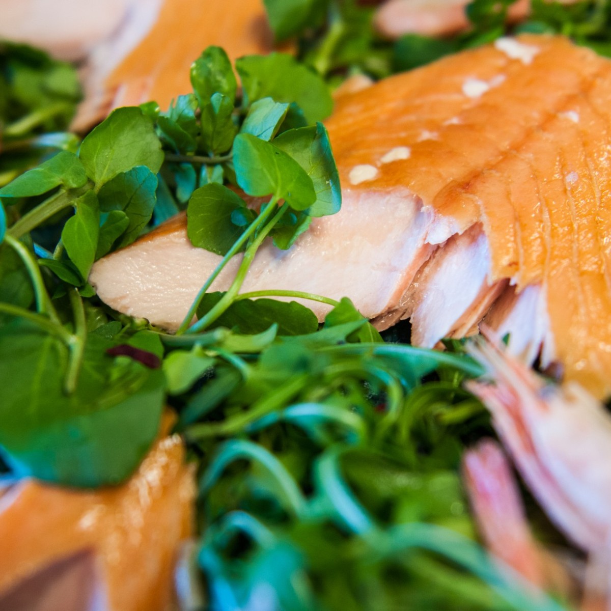 Oak Roasted hot smoked Salmon