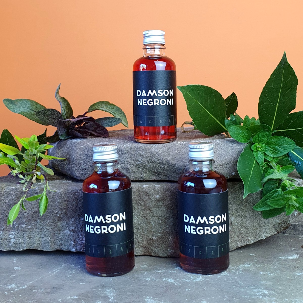 Mini Damson Negroni Bottle 5cl Mini Damson Negroni Bottle 5cl