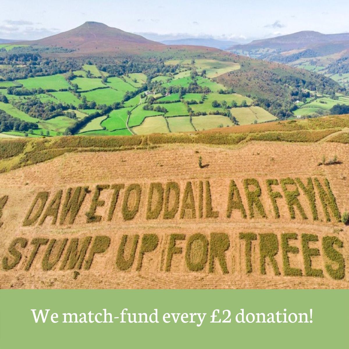 We match every £2 donation! We match every £2 donation!